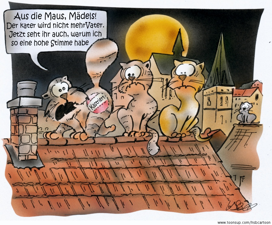 Cartoon: Katzenjammer 1