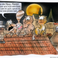 Katzenjammer
