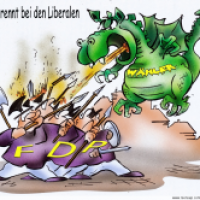 FDP Wähler