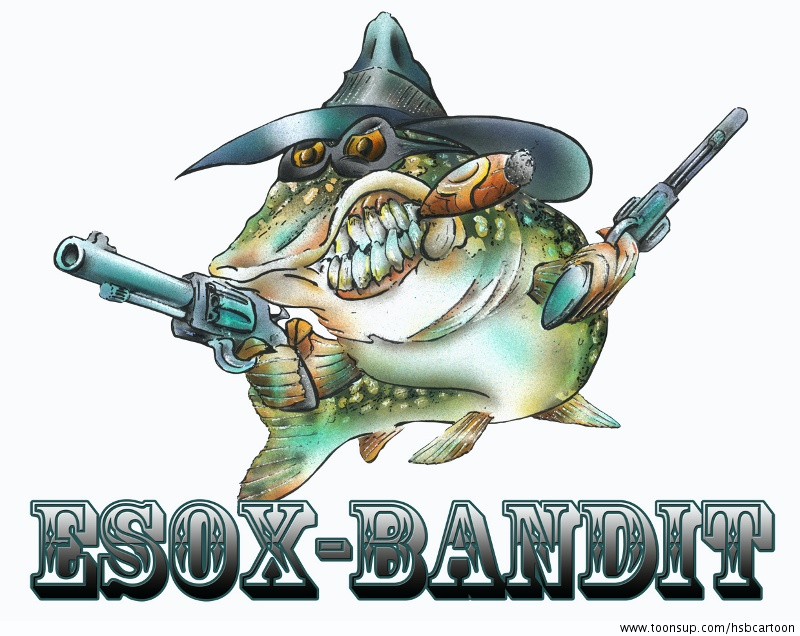 Illustration: Esox bandit 1