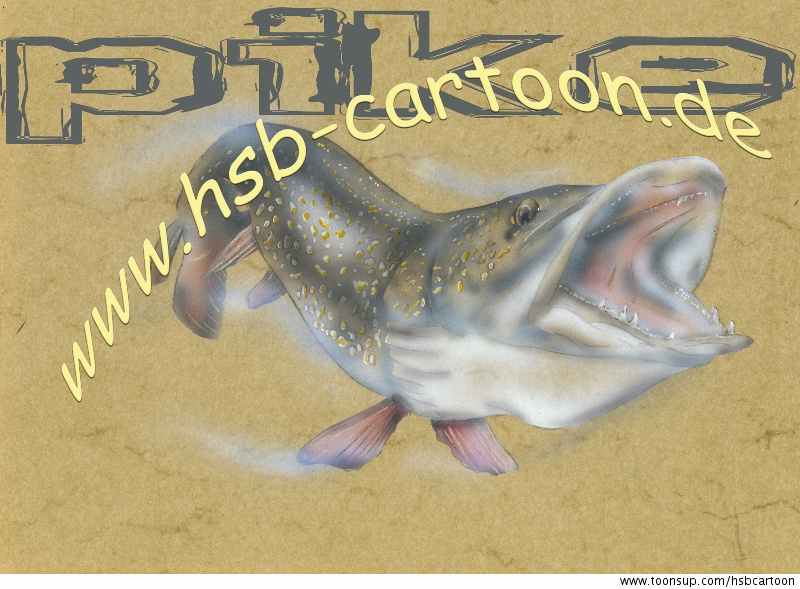 Illustration: pike 1