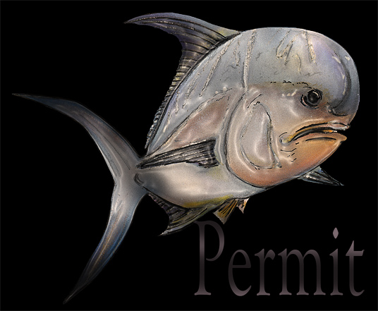 Illustration: permit 1