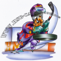 ice hockey player