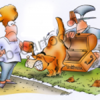 Hundekotstrafe