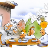 Bienenalarm