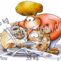 übergewichtige Haustiere