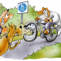 Hunde & Radfahrer