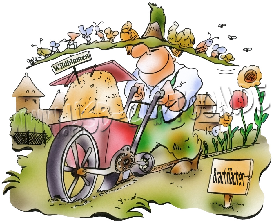 Cartoon: Wildblumenwiese 1