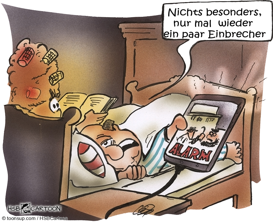 Cartoon: Einbruchserie 1