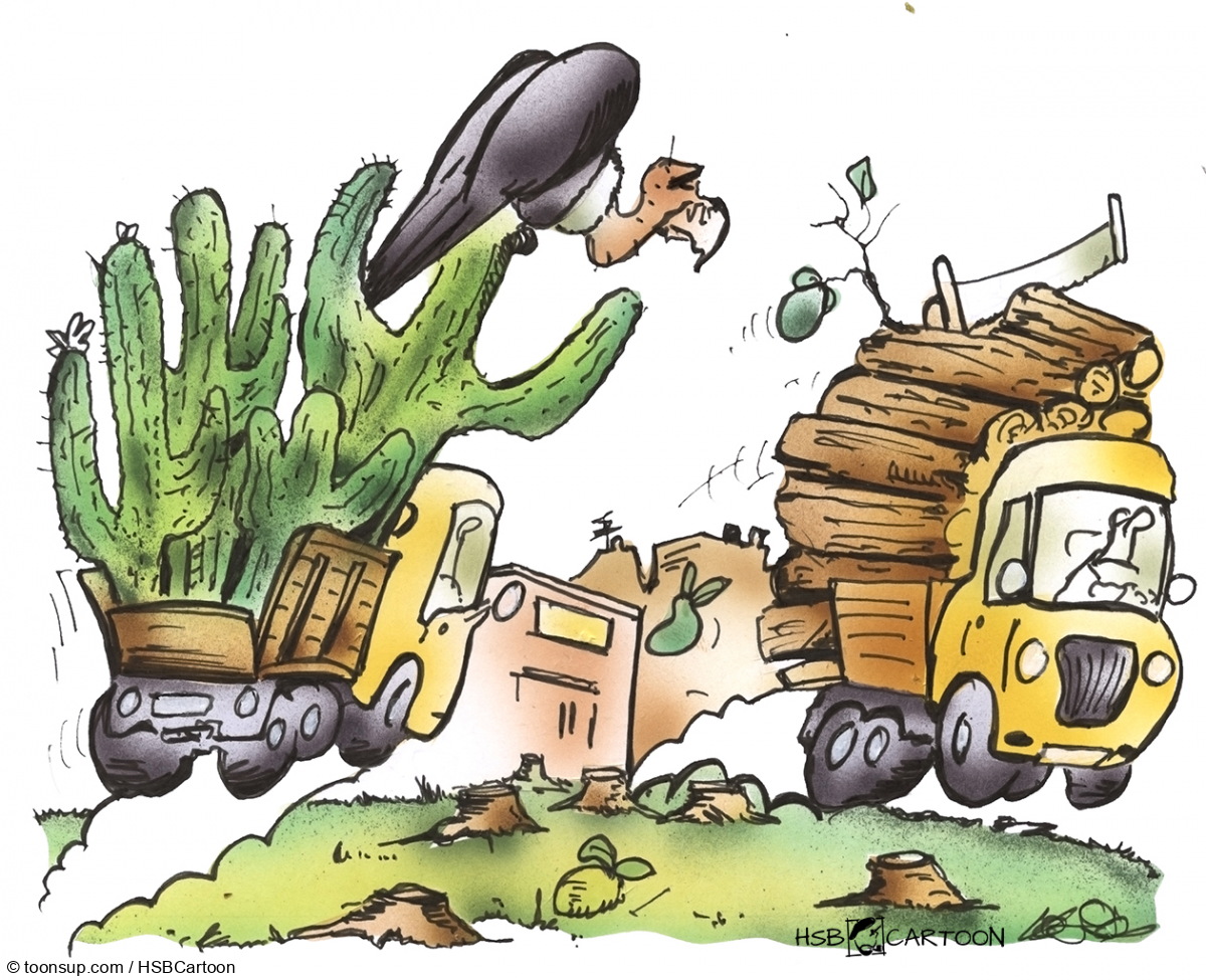 Caricature: Klimaresistente Anpflanzungen 1