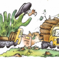Klimaresistente Anpflanzungen