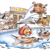 Hundebadetag