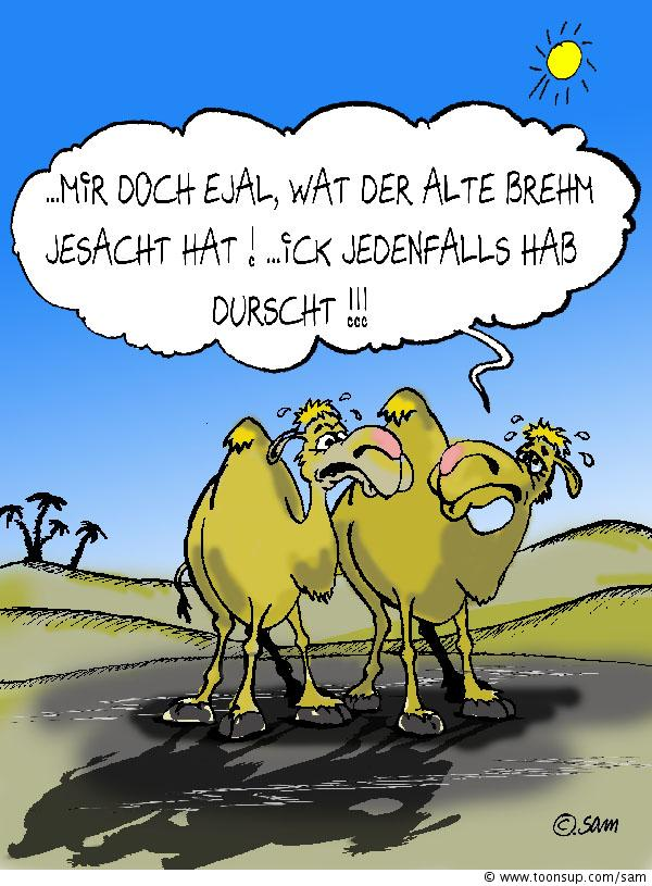 Cartoon: brehms tierleben 1