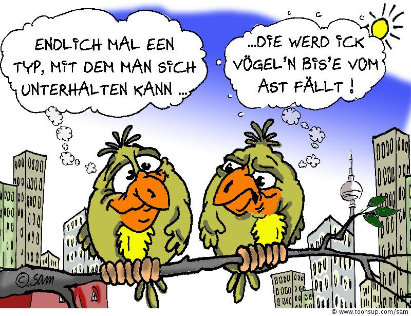 Cartoon: unterhalt-sam-er vogel 1