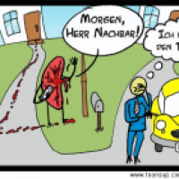 Mein Nachbar, die Niere