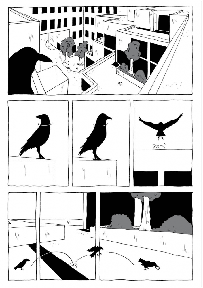 Comic: Rook 3