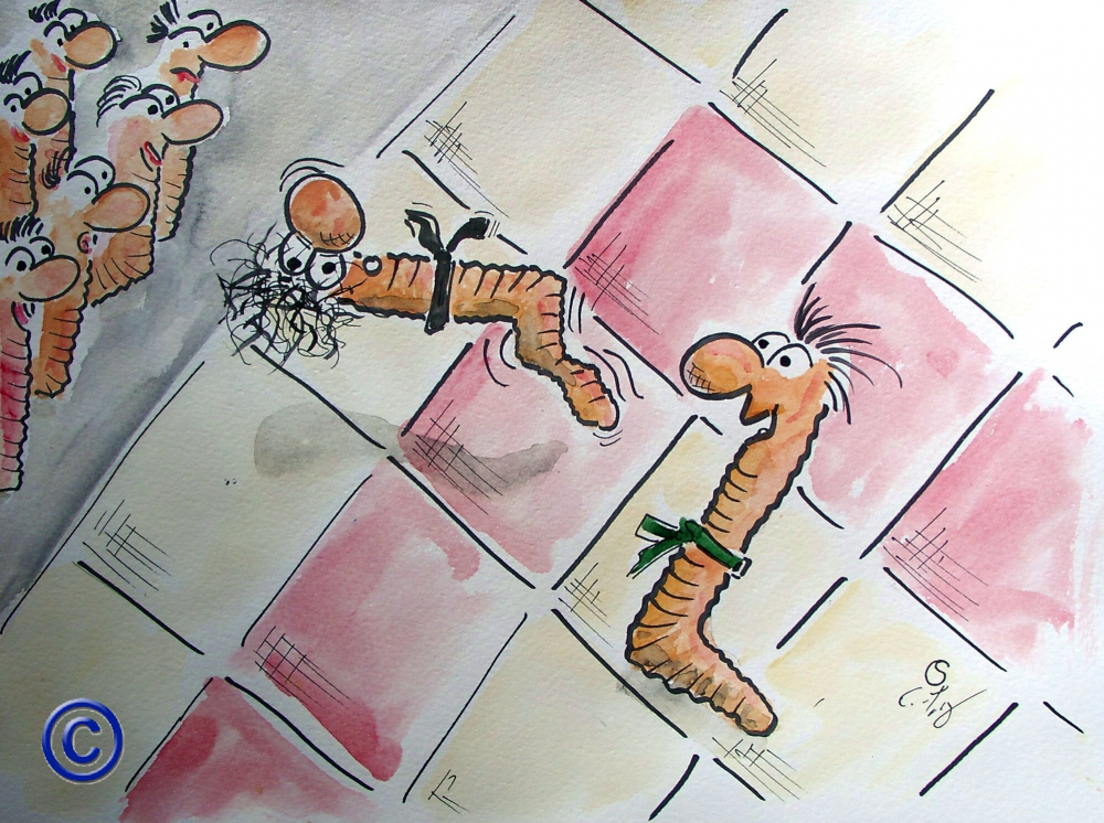 Cartoon: Judo 1