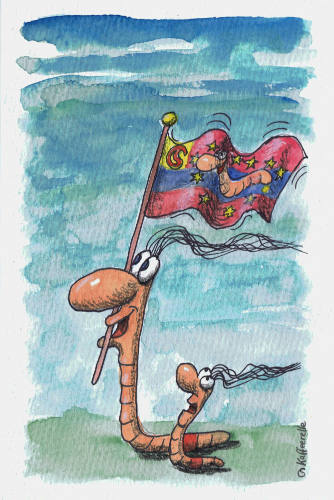 Cartoon: Run it up the Flagpole 1
