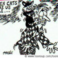 When cats make us smile