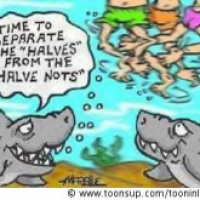 To halve or halve not