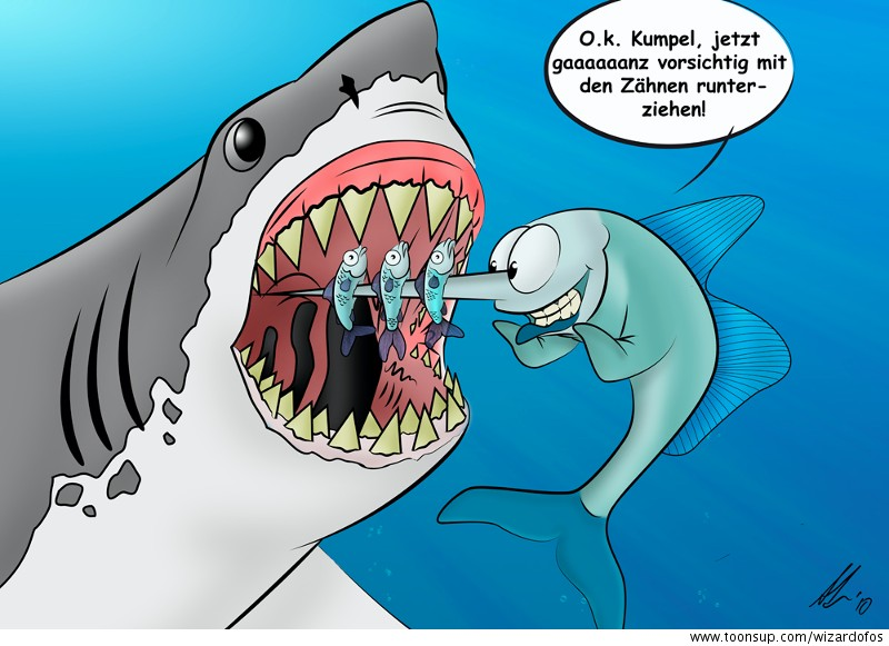 Cartoon: Schwertfisch 2 1