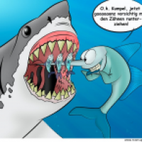 Schwertfisch 2