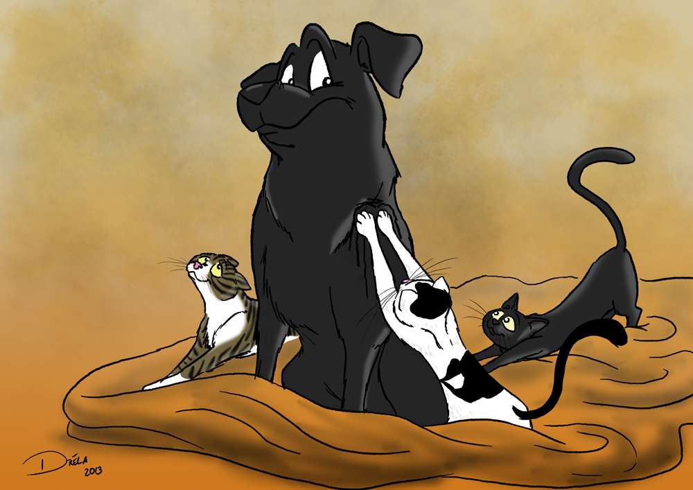 Illustration: Shadow und seine drei Katzen 1