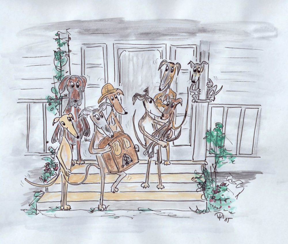 Cartoon: Windhund- Waltons 1