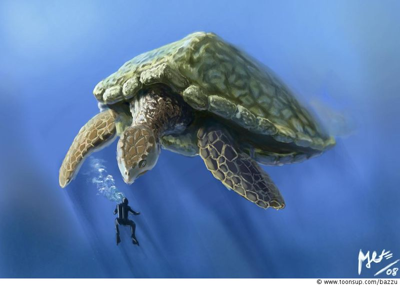 Illustration: Riesenschildkröte 1
