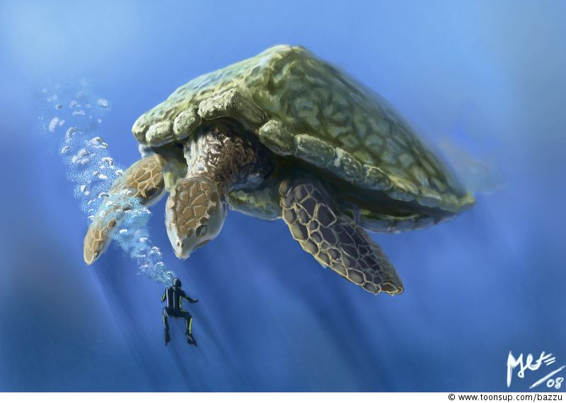 Illustration: Riesenschildkröte Variante 2 1