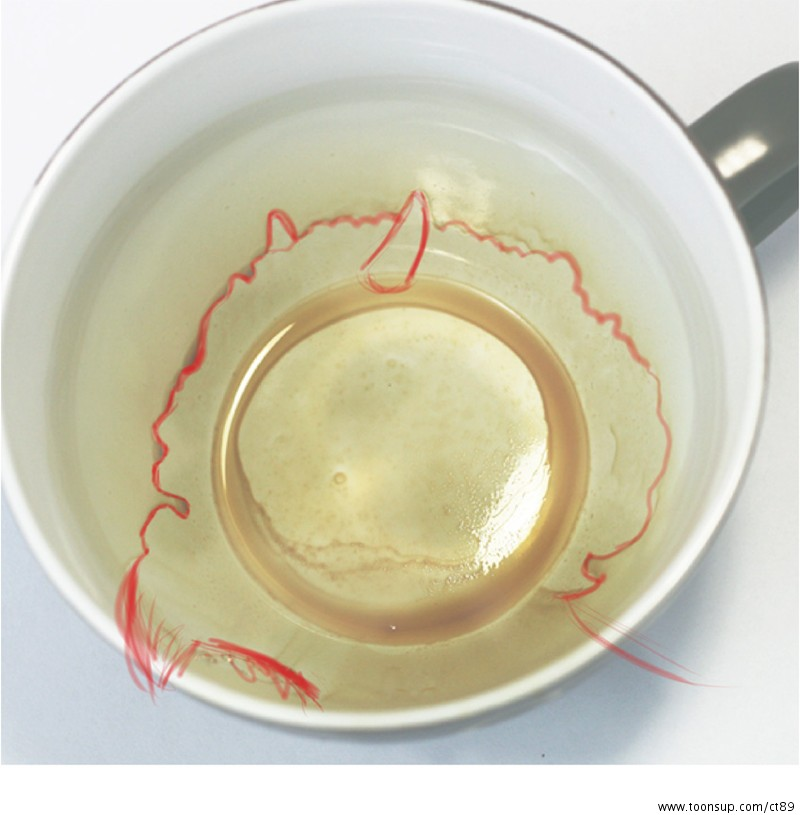 Illustration: Noch mehr Kaffeesatz-Lesen 2