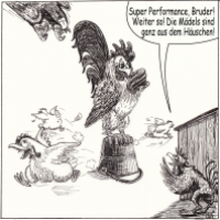 Erbfolgeregelung