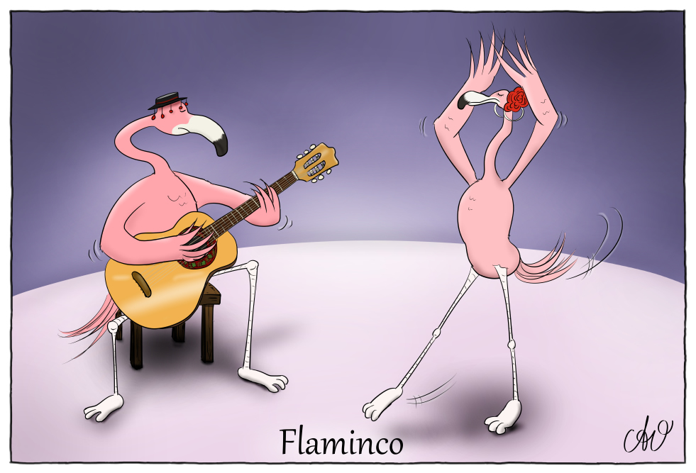 Cartoon: Flaminco 1