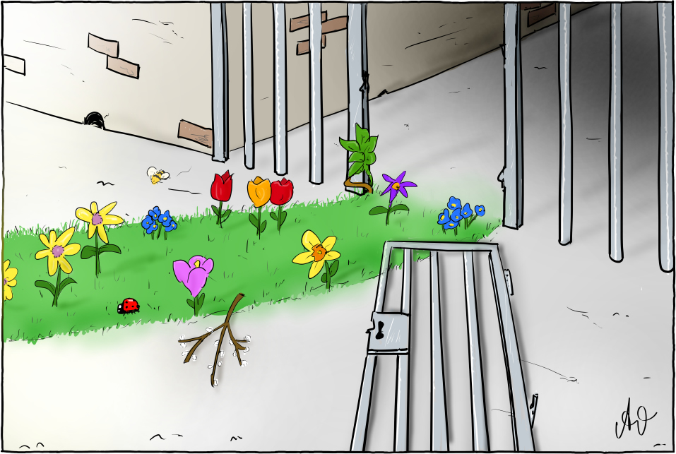Cartoon: Was ist hier passiert? 1