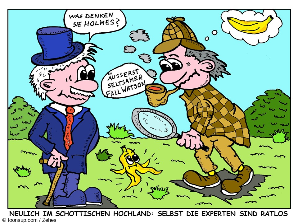 Cartoon: Experten im Einsatz 1