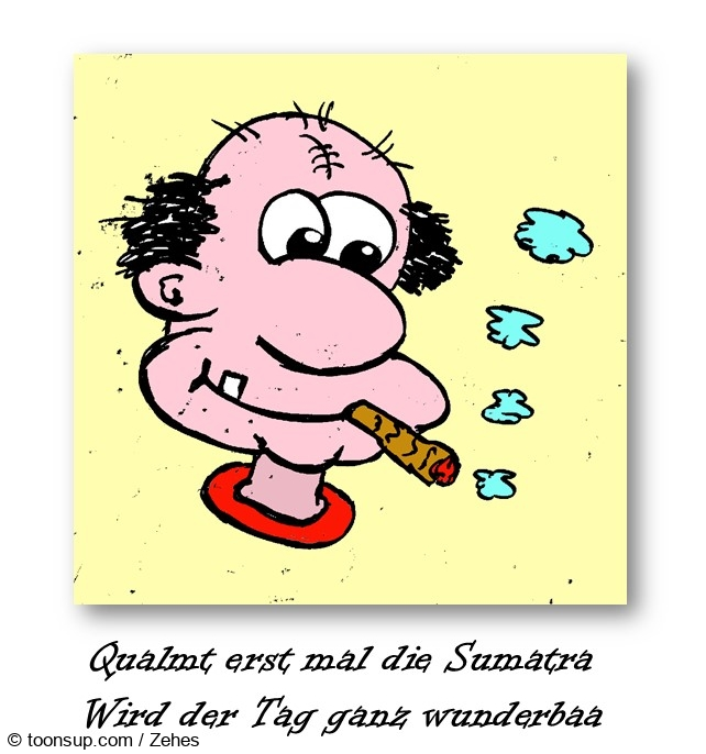 Cartoon: große Sundainsel 1