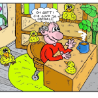 paranoid