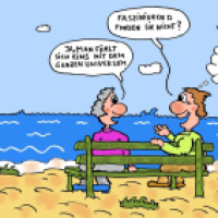 Gespräch am Meer