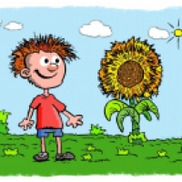 Der Herbst kommt