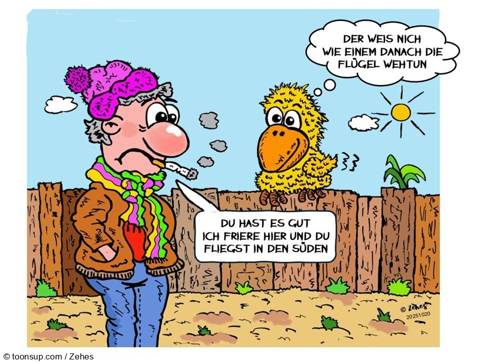 Cartoon: Wintergedanken 1