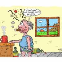 am nächsten Morgen