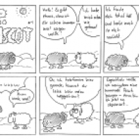 Das Geständnis