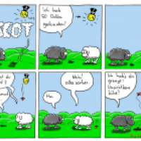 #2 Mäscot in bunt