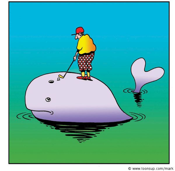 Cartoon: A Whale In One 1