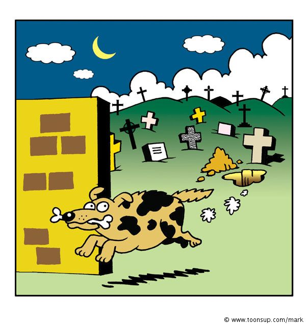 Cartoon: Bone Raider 1
