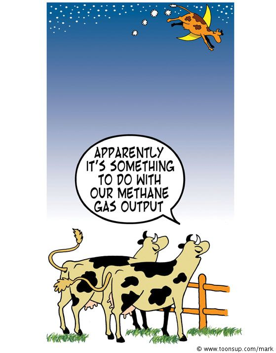 Cartoon: Cow over the moon 1