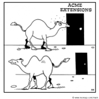 Extensions...