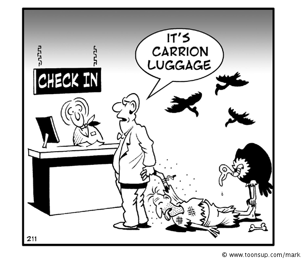 Cartoon: carry-on luggage 1