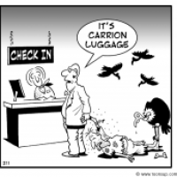 carry-on luggage