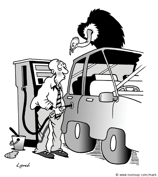Cartoon: Vulture 1
